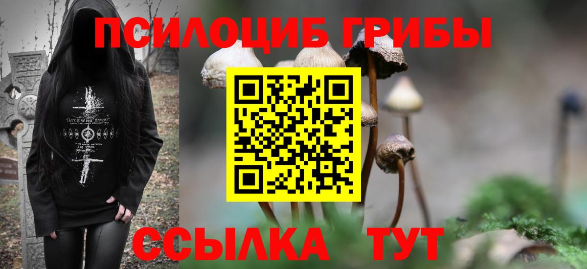 Галлюциногенные грибы Cubensis  купить наркотики сайты  Сафоново  Вход с VPN 
